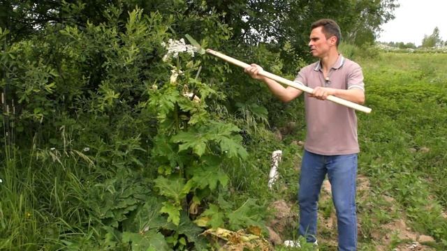 КАК СДЕЛАТЬ ВЪЕЗД НА ГЕКТАР? | УСЛУГИ СЕРВИСНОЙ КОМПАНИИ | БИТВА С БОРЩЕВИКОМ | ОТ СОХИ ДО СОХИ