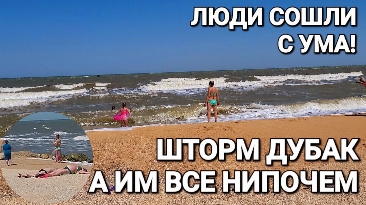 В #Голубицкая дубак. 24.05.2024 г.Купаться нельзя в Азовском море! Золотая Рыбка и Синдром Аспергера