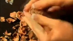 кедропластовая кабина.mp4