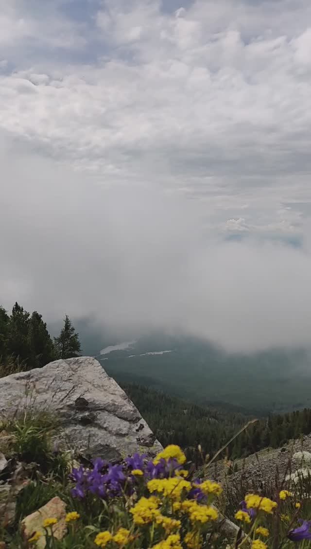 Увидеть как формируются и поднимаются облака в горах? Запросто!