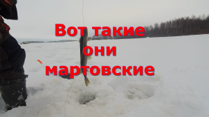 Первая мартовская щука взята