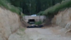 Сайга МК 030 7,62х39 и Сайга ТГ 2 на 300м.