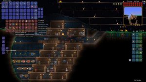 выбил два редких йойо-||Terraria