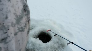 Зимняя рыбалка на блесна и балансиры в Перми