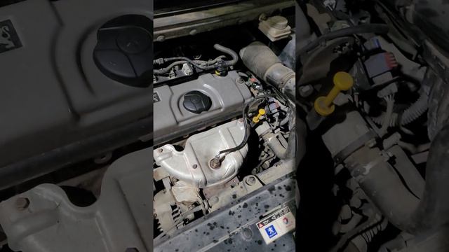 Peugeot 206, 307. Поменяйте лямбда зонд и будет вам счастье! смотреть онлайн