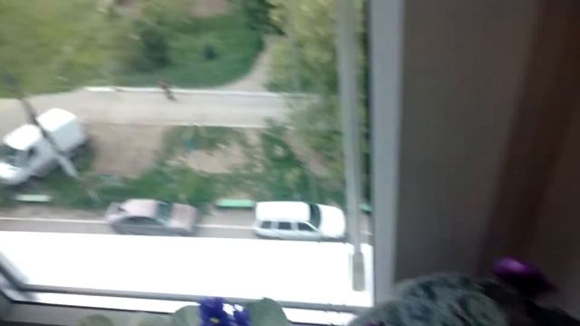 Африканское чудо! смотреть онлайн