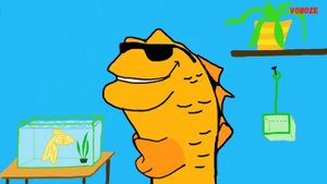 Гурами в аквариуме. Популярные виды