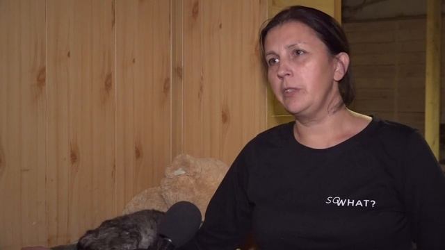 Делаем добрые дела смотреть онлайн