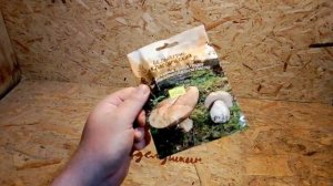 Как вырастить грибы дома)