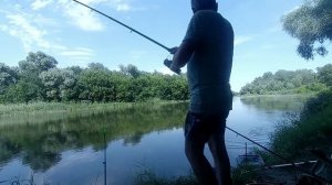 Адская рыбалка на Северском Донце(как поймать леща и другую рыбу, комары и трава - просто жесть!!!)