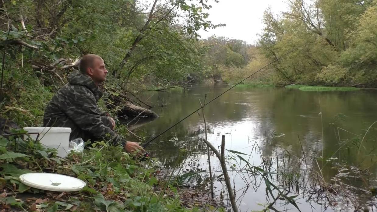 РЫБАЛКА НА ФИДЕР(донку) В ОКТЯБРЕ НА РЕКЕ. смотреть онлайн
