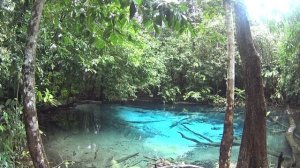Краби / НЕПОВТОРИМЫЙ КРАБИ / Emerald Pool / ГОРЯЧИЕ ИСТОЧНИКИ