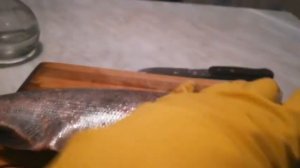 Что внутри у толстолобика