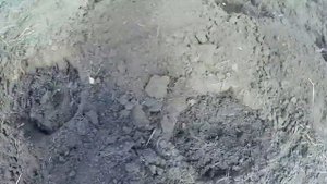Кабачки под пленкой