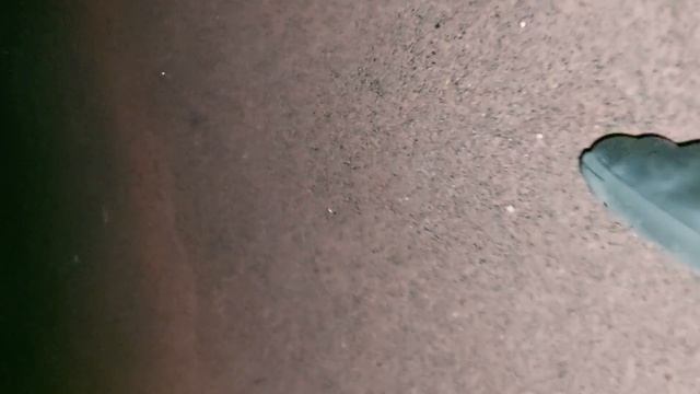 куда мы попали 1-й сезон 1-я серия смотреть онлайн