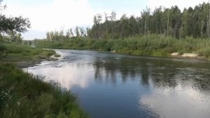Река Бердь близ деревни Старососедово. Искитимский район Новосибирской области. Западная Сибирь.mp4