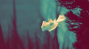 Koan - Guided Meditation