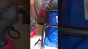 Бензиновый генератор TSS SGG 9000 E3LA