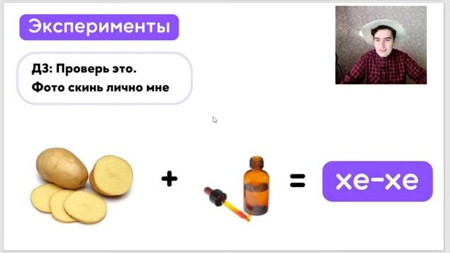 Презентация Годового курса "Амеба" по Биологии ЕГЭ 2023 смотреть онлайн