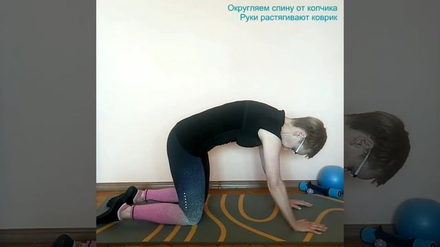 Пилатес. Упражнения для гибкости позвоночника
