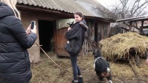 VLOG Настя и Катя рубят дрова и доят козу