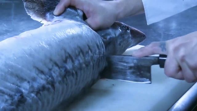 РАЗДЕЛКА (ОСЕТРОВЫХ) РЫБ ВЕСОМ 8КГ, ТАЙВАНЬСКАЯ ЕДА...
