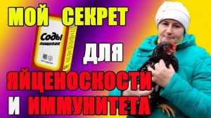 1.Какой секрет у СОДЫ для кур. 2. Почему СВЕТ в курятнике важнее тепла.
