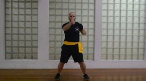 Shil Lim Tao Demonstration  by Sifu Huseyin Ali @Penang Wing Chun Bing Fa