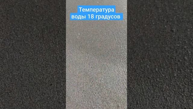 Умею определять температуру воды рукой, почему??? см ниже ⬇️