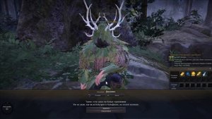 Все квесты Камасильвии на хризолитовые листья/Kamasylvia daily quest.