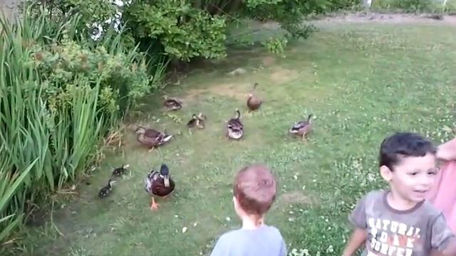 Ребята и утята смотреть онлайн