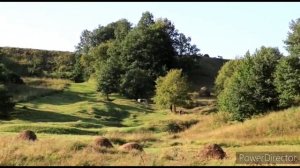 Գնում Ենք Խոտ Հնձելու(Գերանդիով)Косим траву косой ручной Շամշադինի Համը Шамшадин
