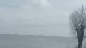 г. КАЛАЧ НА ДОНУ. Прогулка по городу . Новая набережная - почти готова. Собаки престоваки .