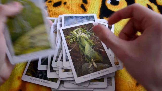Обзор Таро Дикого Леса \\ Wildwood Tarot. Как призвать духов помощников и узнать свой тотем смотреть онлайн