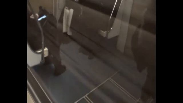 Поездка по Замоскворецкой линии и по Калужско-рижской линиии