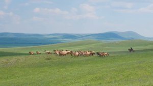 Баймак, Республика Башкортостан