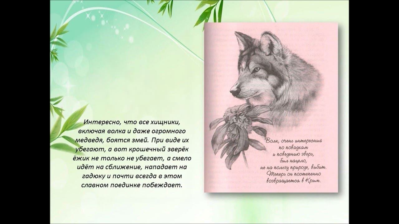 Обзор книги "По следам четырёх сезонов" смотреть онлайн