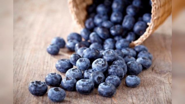 Հապալասը ունի հակաուռուցքային ուղեղի աշխատանքը բարելավվող հատկություն