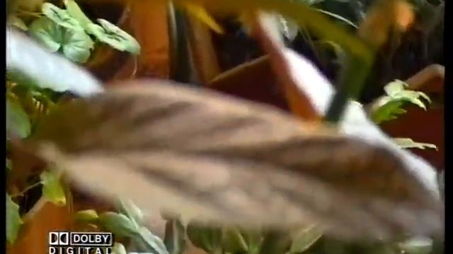 кинотеатр "МУРМАНСК" 1999г. смотреть онлайн