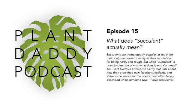 Ep. 15 - What does "Succulent" actually mean? смотреть онлайн