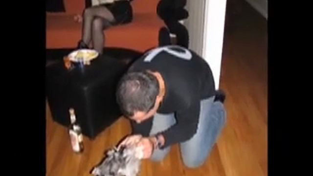 Новый Год 2008 смотреть онлайн