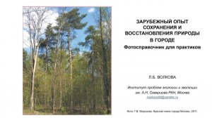 Зарубежный опыт сохранения и восстановления природы в городе: фотосправочник для практиков