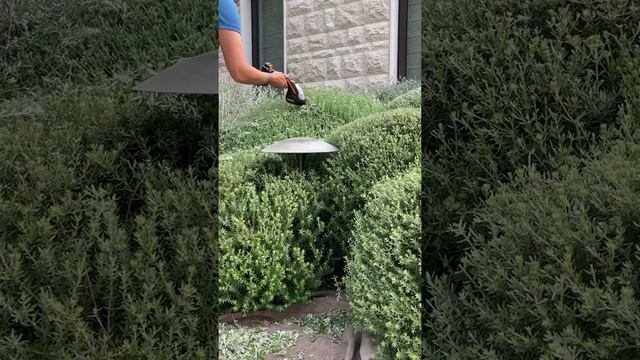 Worx Shears In Action смотреть онлайн