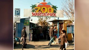 7 ФАКТОВ О СЛИВКИ ШОУ, О КОТОРЫХ ВЫ НЕ ЗНАЛИ | Куки КОТ или КОШКА?