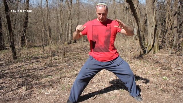 Два упражнения заменяющие 1 час бега Увеличение ПОТЕНЦИИ и ТЕСТОСТЕРОНА смотреть онлайн