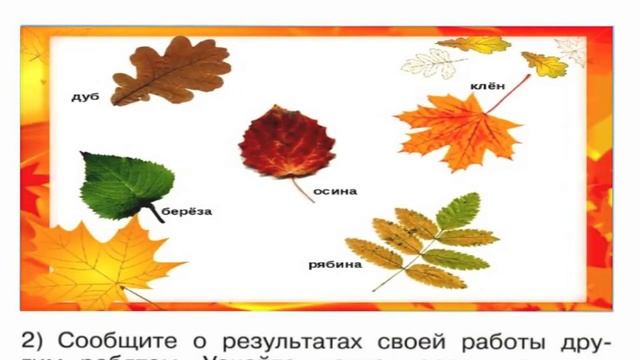 Окружающий мир. Рабочая тетрадь 1 класс 1 часть. ГДЗ стр. 14 №1