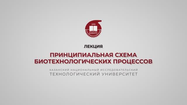 Перушкина Е.В. Принципиальная схема биотехнологических процессов