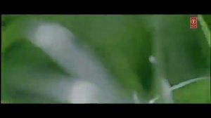 Тери мери  индийская песня