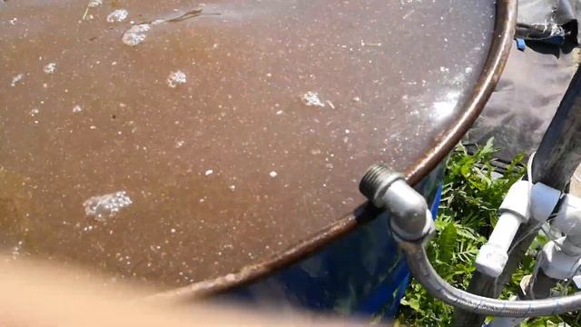 Подкормка огурцов, томатов, винограда, клубники молоком и гуматом калия. смотреть онлайн