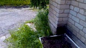 Пунгино. Серьёзная кража в деревне.